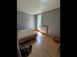 Photo n°8