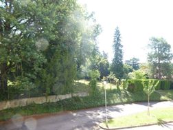 Photo n°3