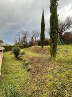 Photo n°1