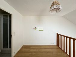Photo n°7