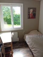 Photo n°1