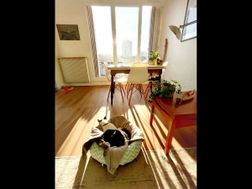 Photo n°2