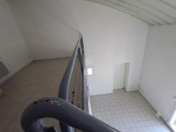 Photo n°5