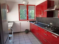 Photo n°4