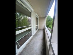 Photo n°4