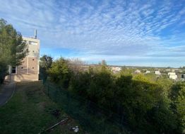 Photo n°6