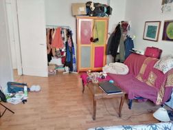 Photo n°7