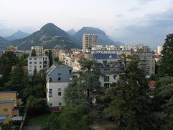 Photo n°6