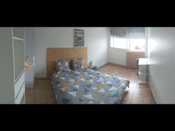 Photo n°3