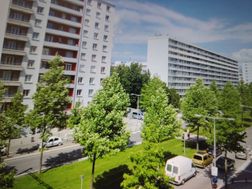 Photo n°6