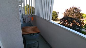 Photo n°6