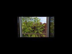 Photo n°1