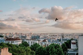 Photo n°1