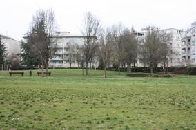 Photo n°4