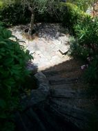 Photo n°4