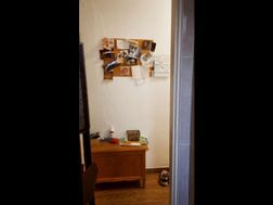 Photo n°16