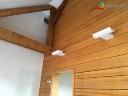 Photo n°6