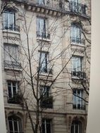 Photo n°8
