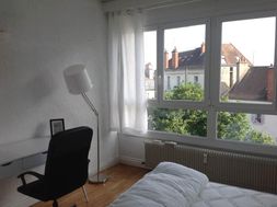 Photo n°5