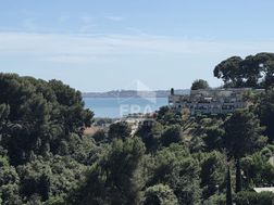 Photo n°1
