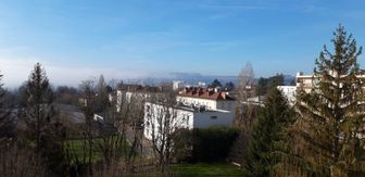 Photo n°5