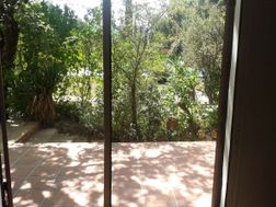 Photo n°2