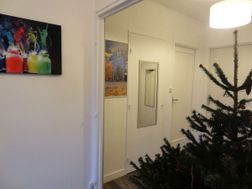 Photo n°6