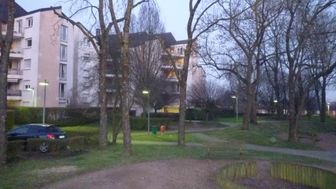 Photo n°4