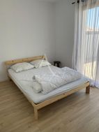 Photo n°16