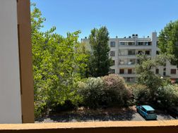 Photo n°5