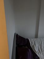 Photo n°6