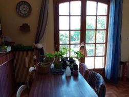 Photo n°4
