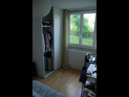 Photo n°8