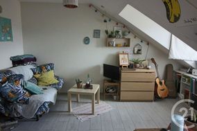 Photo n°5