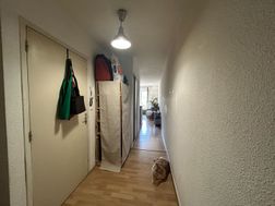 Photo n°5