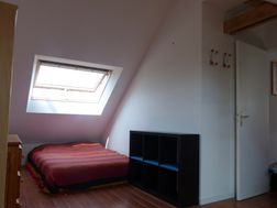 Photo n°3