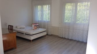 Photo n°4