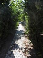 Photo n°2