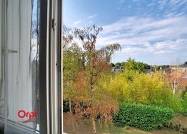 Photo n°1