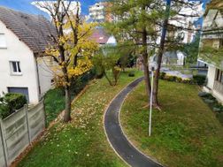 Photo n°14