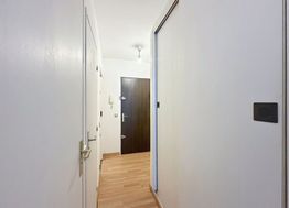 Photo n°4