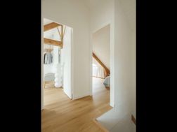 Photo n°8