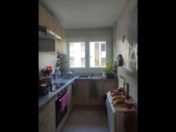 Photo n°4