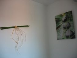 Photo n°6