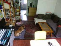 Photo n°3