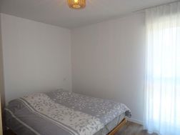 Photo n°5
