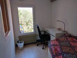 Photo n°3