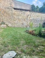 Photo n°6