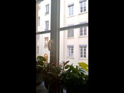 Photo n°15