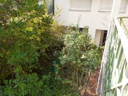 Photo n°6